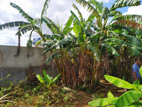Imagem 7 de 15 de Terreno Parque São Martinho - Bitr00033