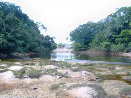 Excelente Finca En Venta, Puerto Lopez Meta