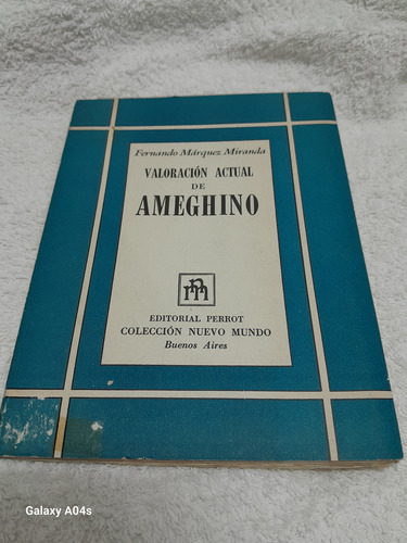 Valoración Actual De Ameghino (Usado)