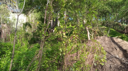 Imagen 3 de 3 de Lote En Mar Azul