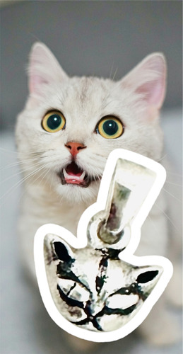 Dije De Plata Cara De Gato. Sg-joyería Plateado
