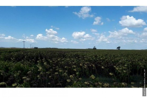 Campo Mixto 103 Hectareas Sobre Ruta 88 A 50 Km De Mar Del Plata