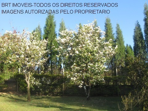Imagem 28 de 28 de Chacara - Ch00286 - 33972643