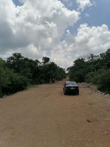 Imagen 3 de 10 de Lotes Semi Urbanizados Punta Clara En Dzidzantún, Yucatán
