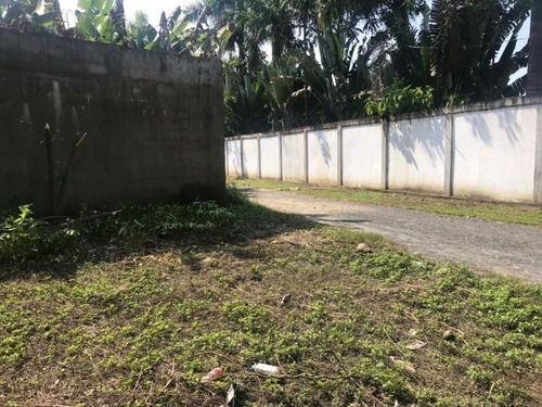 Imagen 8 de 11 de Terreno Comercial En Venta Col. El Torito