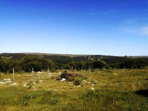 Quinta En Venta En Lavalleja