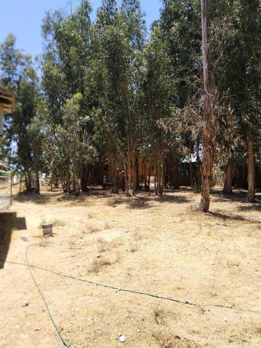 Parcela En Venta En Peralillo