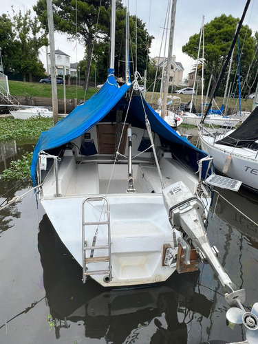 Liberty 24