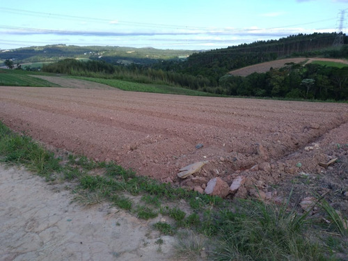 Imagem 25 de 30 de 20o Terreno A Venda Para Investimento