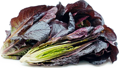 200 Sementes De Alface Vermelha Red Romaine Crioula U.s.a.