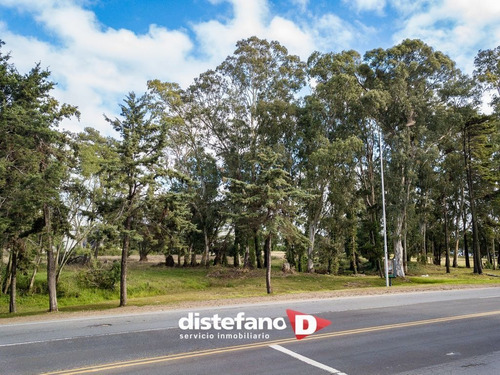 Imagen 12 de 12 de Terreno En Venta En Pinamar