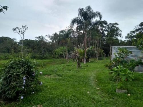 Chácara Com Lago Medindo 3230 Mts Em Itanhaém Litoral Sul Sp