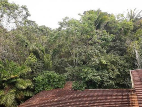 Imagem 8 de 15 de Chácara No Jardim São Fernando, Em Itanhaém, Litoral Sul De São Paulo, Localizada Lado Serra, Ficando À 1.200 Metros Da Rodovia