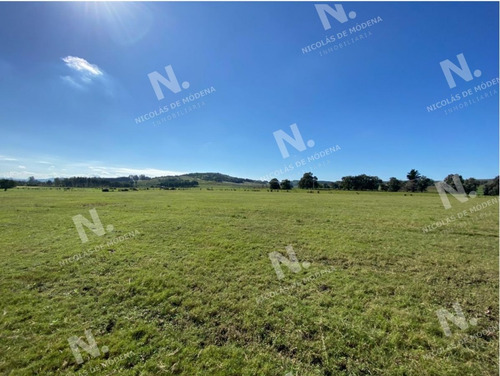 Imagen 3 de 15 de Venta Campo En Maldonado - Maldonado