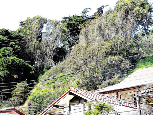 Terreno Construccion En Venta En Playa. Amarilla -concón