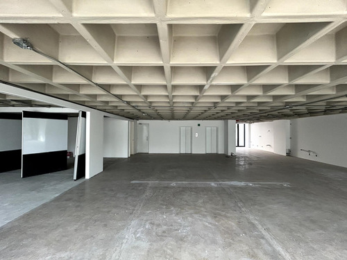 Oficina En Renta - Presidente Masaryk - Piso 1 - 330 M2