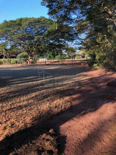 Imagem 5 de 6 de Venda De Rural / Chácara Na Cidade De Araraquara 10461