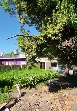 Imagen 10 de 15 de Casa Con Local Totalmente Remodelada A Nuevo