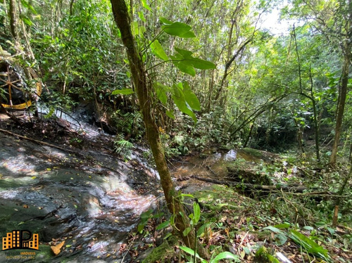Chácara À Venda 2.749,43m2 Estrada Da Barrinha - São Lourenço/sp - Ch07782 - 69485090