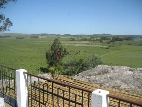 Imagen 4 de 28 de Increíble Chacra Con 30 Has En Laguna Del Sauce - Punta Ballena Laguna Del Sauce
