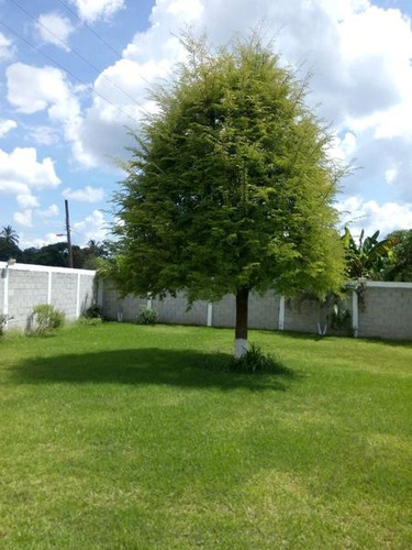 Terrenos En Venta En Ojite Veracruz, Casa Ypalapa