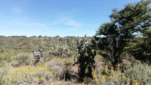Terreno En Venta En Santa Lucia, San Juan Del Río, Querétaro.