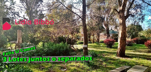 Imagen 1 de 4 de 3 Lotes Juntos O Separados