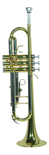 Trompeta Bb/c Laqueado Dorado Con Estuche Wesner Ptr1000c-g