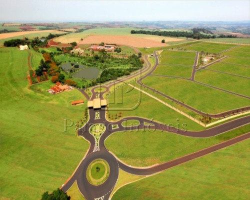 Imagem 7 de 7 de Terreno/lote À Venda, Centro - Cravinhos/sp - 1104