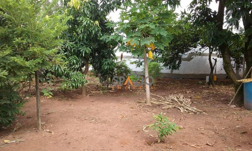 Imagem 17 de 19 de Casa Residencial À Venda, Vila Alemã, Rio Claro. - Ca0187