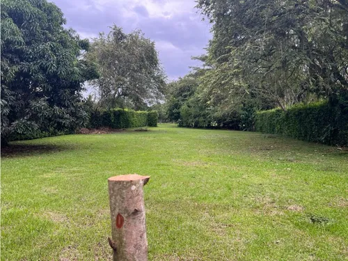Venta Lote De1610mts2 En La Morada, Jamundí 8784.