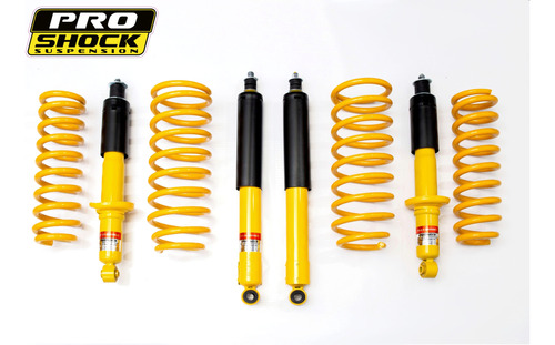 Suspensión Amortiguadores Meru Prado 4runner Proshock 