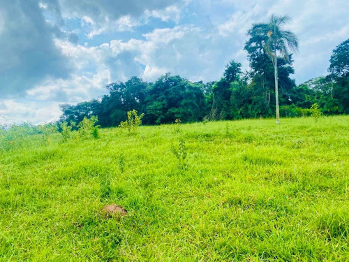 Imagem 3 de 14 de M48- Aproveite Já Esse Grande Lançamento De Terreno