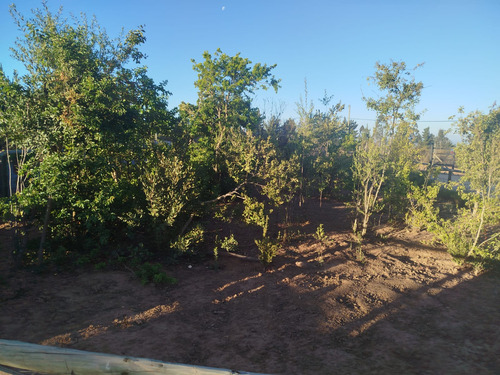 Venta Parcela 5000mts Algarrobo