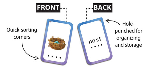 Tarjetas Flash De Palabras Para Decodificación Medianas