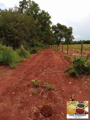 Fazenda À Venda Em Formoso Do Araguaia-to-de 400 Alqueirões (dupla Aptidão) - 1604