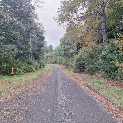 Hermosa Parcela En Pucón, Con Acceso A Termas, Sector Huife