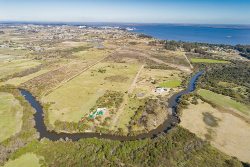 Imagen 1 de 12 de Chacras Venta Nueva Palmira Sobre Arroyo Navegable