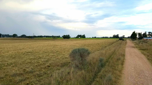 Vendo O Permuto Chacra De 2 Hectareas A 40 Minutos De Tandil