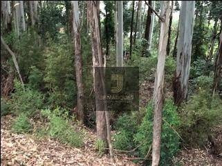 Lindo Lote No Tamboré 1 - Te0222