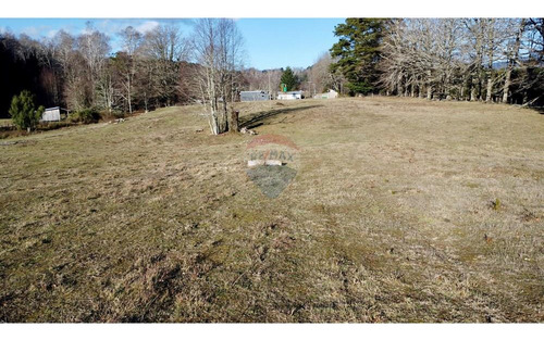 Field In Cunco Of 21.27 Ha. Incredible Opportunity