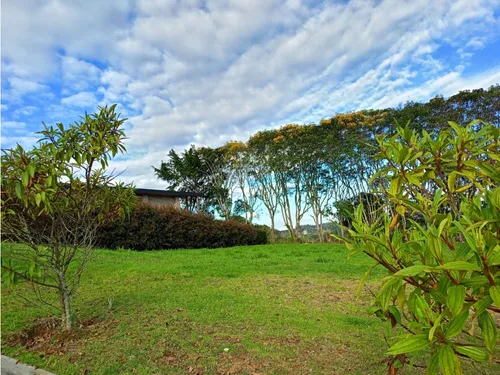 Lote En Venta Sector Alto De Palmas Envigado