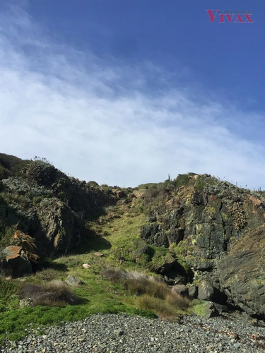 Terreno De 5.250 M2 En Ochoquebradas, Los Vilos