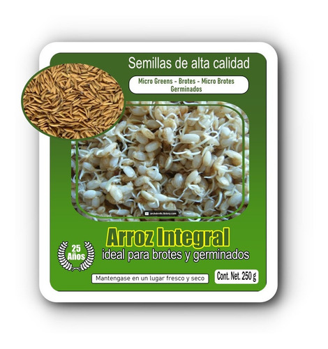 Semillas De Arroz Para Germinados & Microgreens 250 Gr