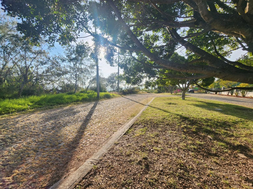 Venta Lote San Diego 152 Mz Xiii Con Todos Los Servicios, Vistas Panorámicas, Proyecto Arquitectónico Incluído En Av Principal Fracc Rancho San Diego Ixtapan De La Sal Edomex