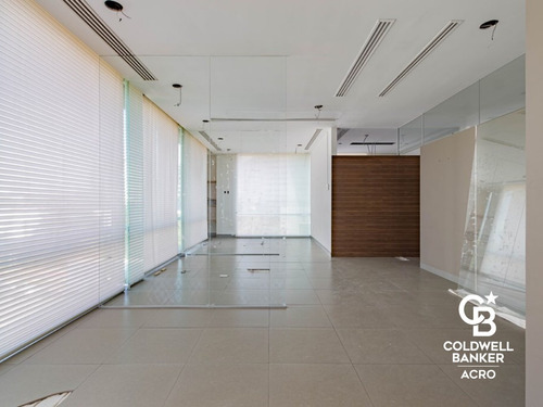 Imagen 4 de 14 de Oficina En Renta, Colonia Jardines Del Pedregal,edificio Aaa