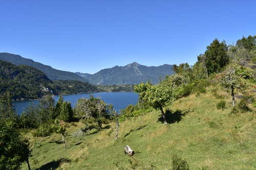 Imagen 12 de 16 de Hermoso Campo 30,32 Hectáreas Orilla De Mar, Cochamo