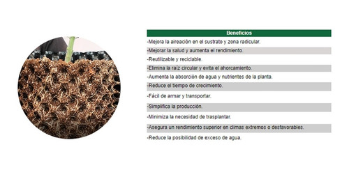 Imagen 6 de 7 de 5 Macetas Air Grower 78 Litros Ideal Para Ciruela, Platano