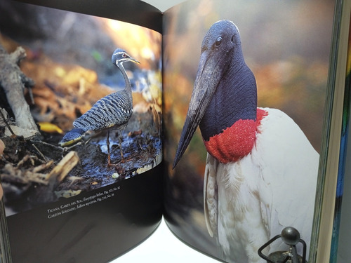 Imagen 7 de 10 de Los Colores Del Aire - Aves De Colombia Y El Trópico