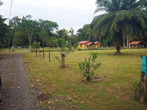 Imagen 10 de 14 de Lotes En El Molino (2000m2)